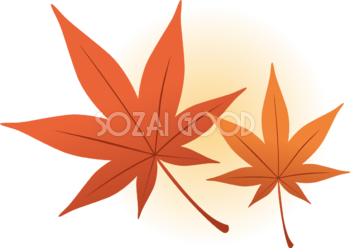綺麗(美しい)な紅葉(もみじ)の葉っぱ 秋イラスト無料 フリー87326