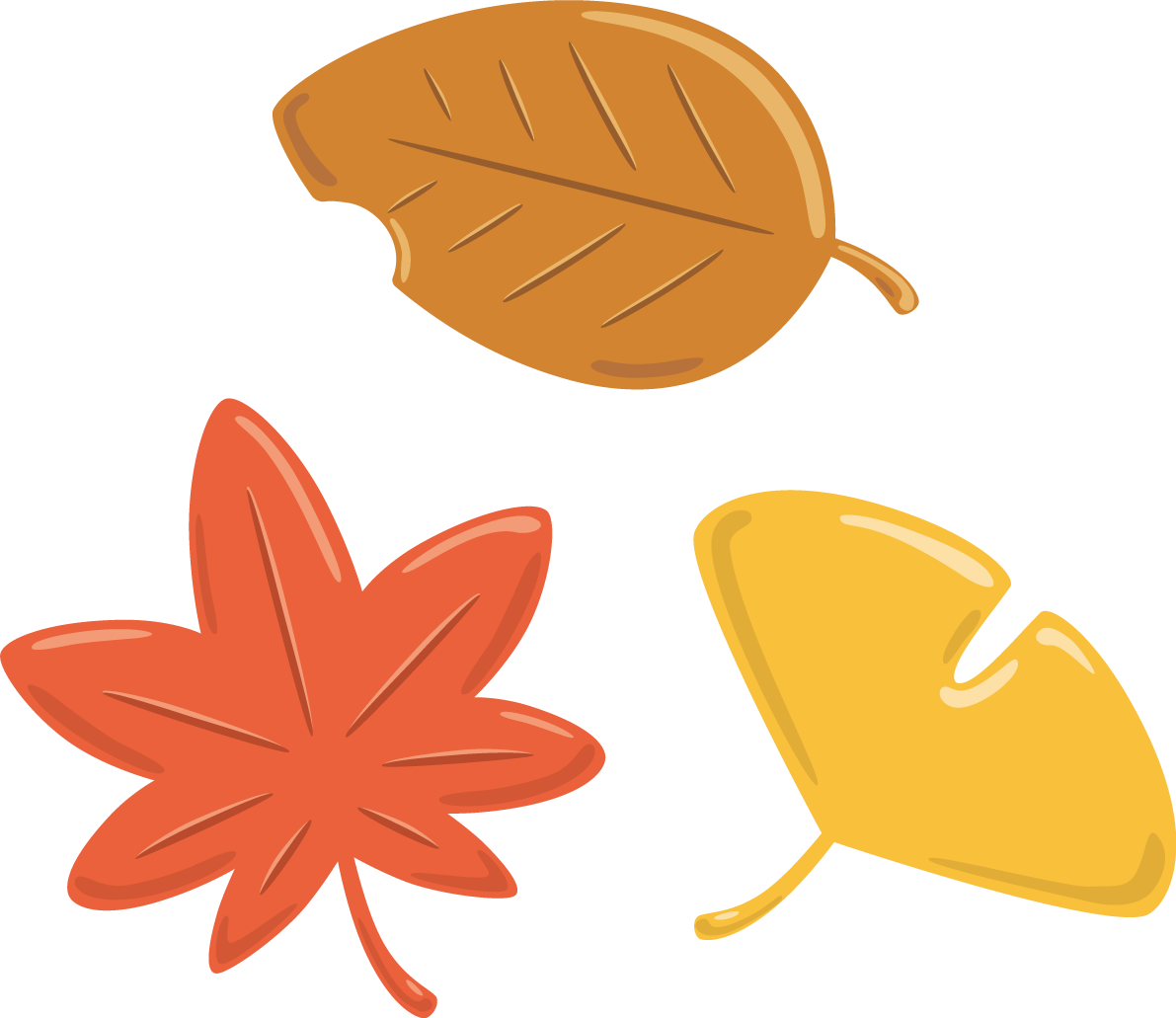 かわいいぷっくりした落ち葉といちょう(イチョウ)と紅葉(もみじ)秋イラスト無料 フリー87366に写真・文字を入れる