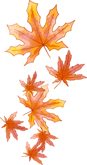 鮮やかな紅葉 もみじ の葉っぱ 秋イラスト無料 フリー 素材good