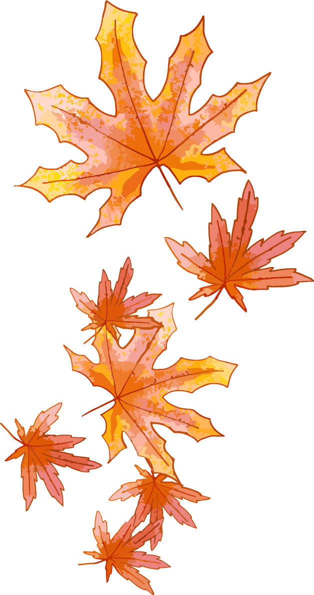 鮮やかな紅葉(もみじ)の葉っぱ 秋イラスト無料 フリー87436に写真・文字を入れる