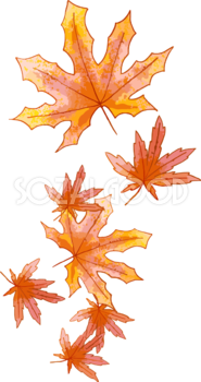鮮やかな紅葉(もみじ)の葉っぱ 秋イラスト無料 フリー87436