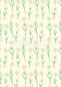かわいい白い花ストライプボタニカル風(植物)縦長方形 背景イラスト無料 フリー87485