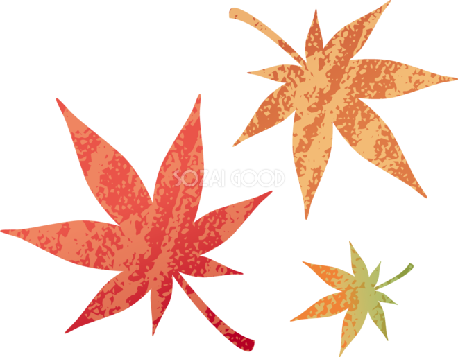 ざらっとした質感の紅葉 もみじ の葉っぱ 秋イラスト無料 フリー 素材good