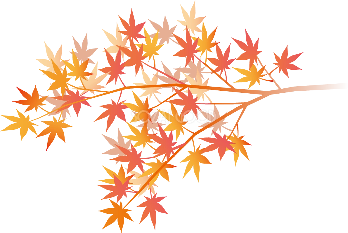 綺麗(美しい)な色の紅葉(もみじ)の枝 秋イラスト無料 フリー87623