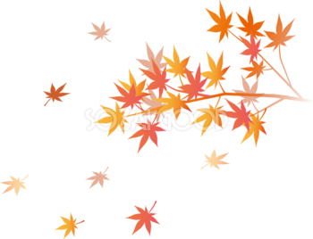 綺麗(美しい)な色の紅葉(もみじ)の枝から舞う(舞い散る)秋イラスト無料 フリー87624