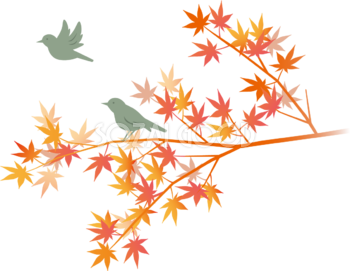 綺麗(美しい)な色の紅葉(もみじ)の枝と鳥 秋イラスト無料 フリー87625