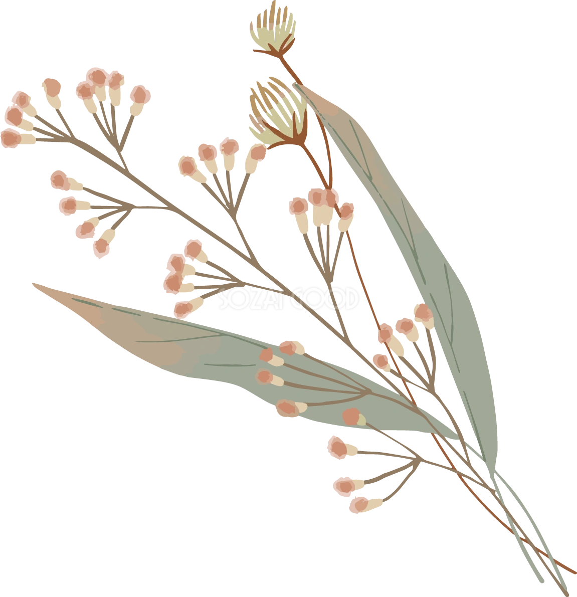 お花と葉っぱおしゃれボタニカル(植物)イラスト無料 フリー87778