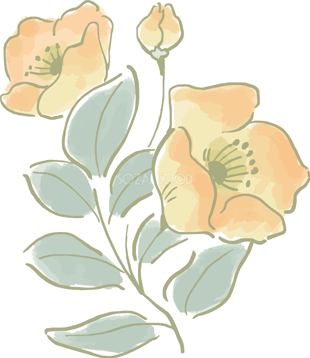 かわいいレトロな花おしゃれボタニカル(植物)イラスト無料 フリー87783