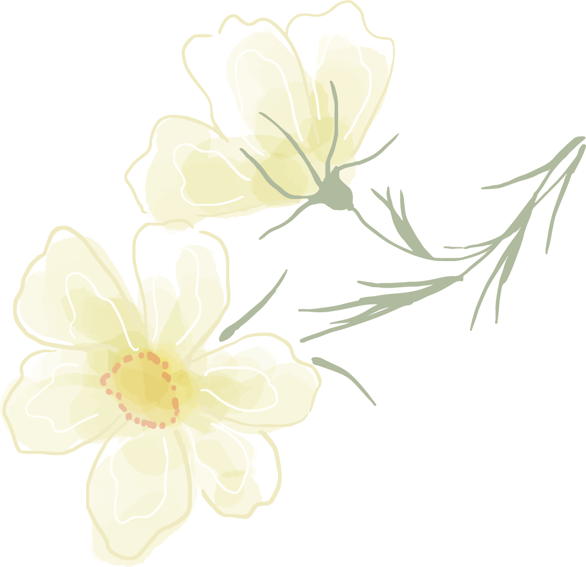 かわいい水彩風黄色い花おしゃれボタニカル(植物)イラスト無料 フリー87786に写真・文字を入れる