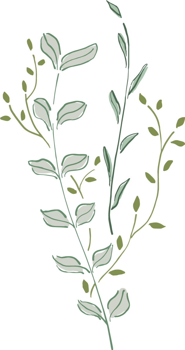 シンプルくすみ色リーフおしゃれボタニカル(植物)イラスト無料 フリー87791に写真・文字を入れる