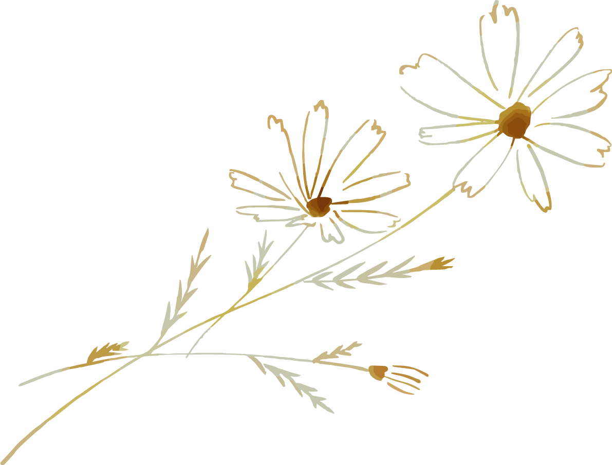 シンプルなグラデーション線花おしゃれボタニカル(植物)イラスト無料 フリー87792に写真・文字を入れる