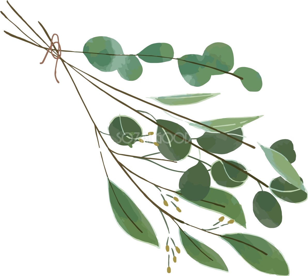 シンプルなリーフのブーケおしゃれボタニカル(植物)イラスト無料 フリー87793