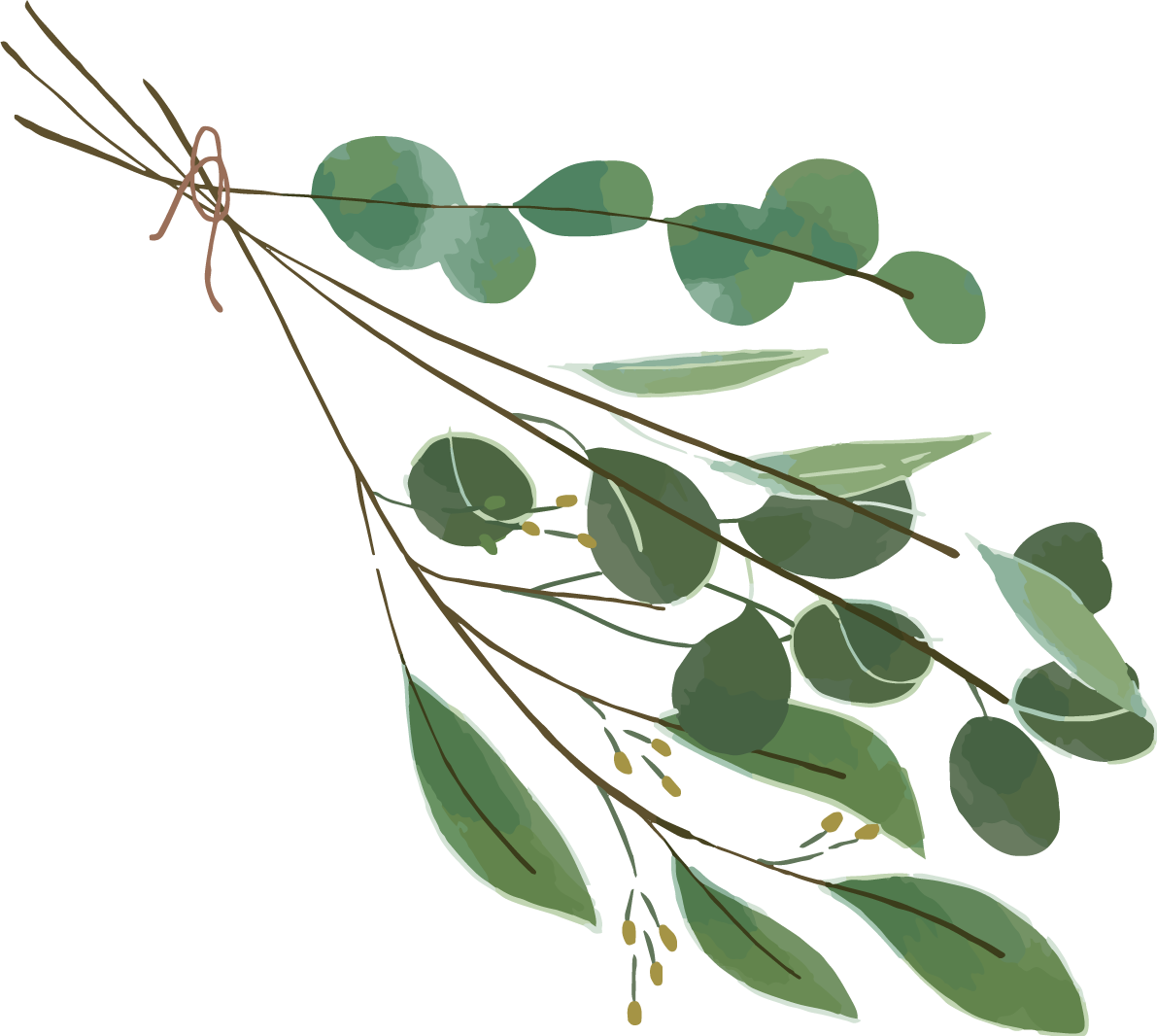 シンプルなリーフのブーケおしゃれボタニカル(植物)イラスト無料 フリー87793に写真・文字を入れる