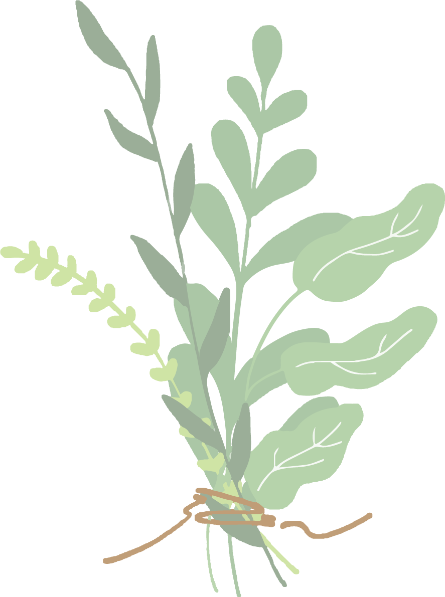 シンプルボタニカル葉っぱのブーケおしゃれボタニカル(植物)イラスト無料 フリー87794に写真・文字を入れる