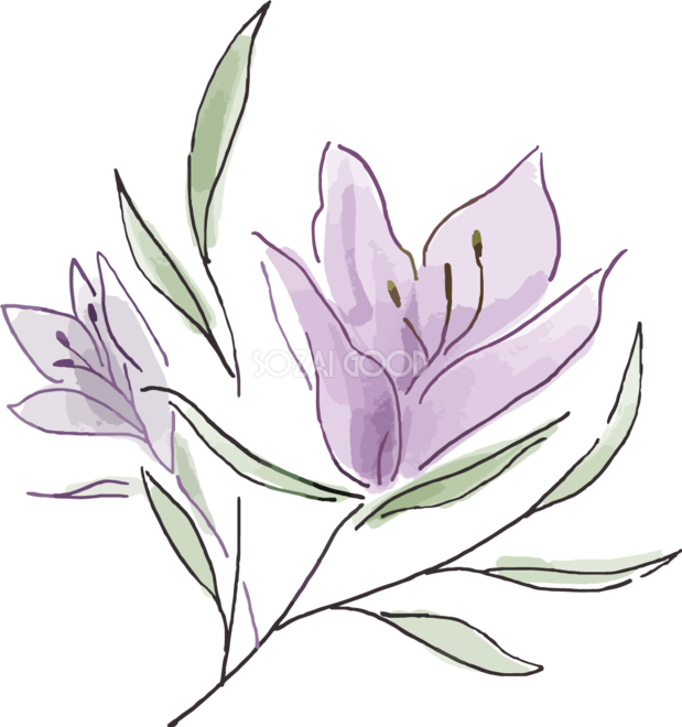 シンプル紫のおしゃれ花おしゃれボタニカル(植物)イラスト無料 フリー87798 | 素材Good