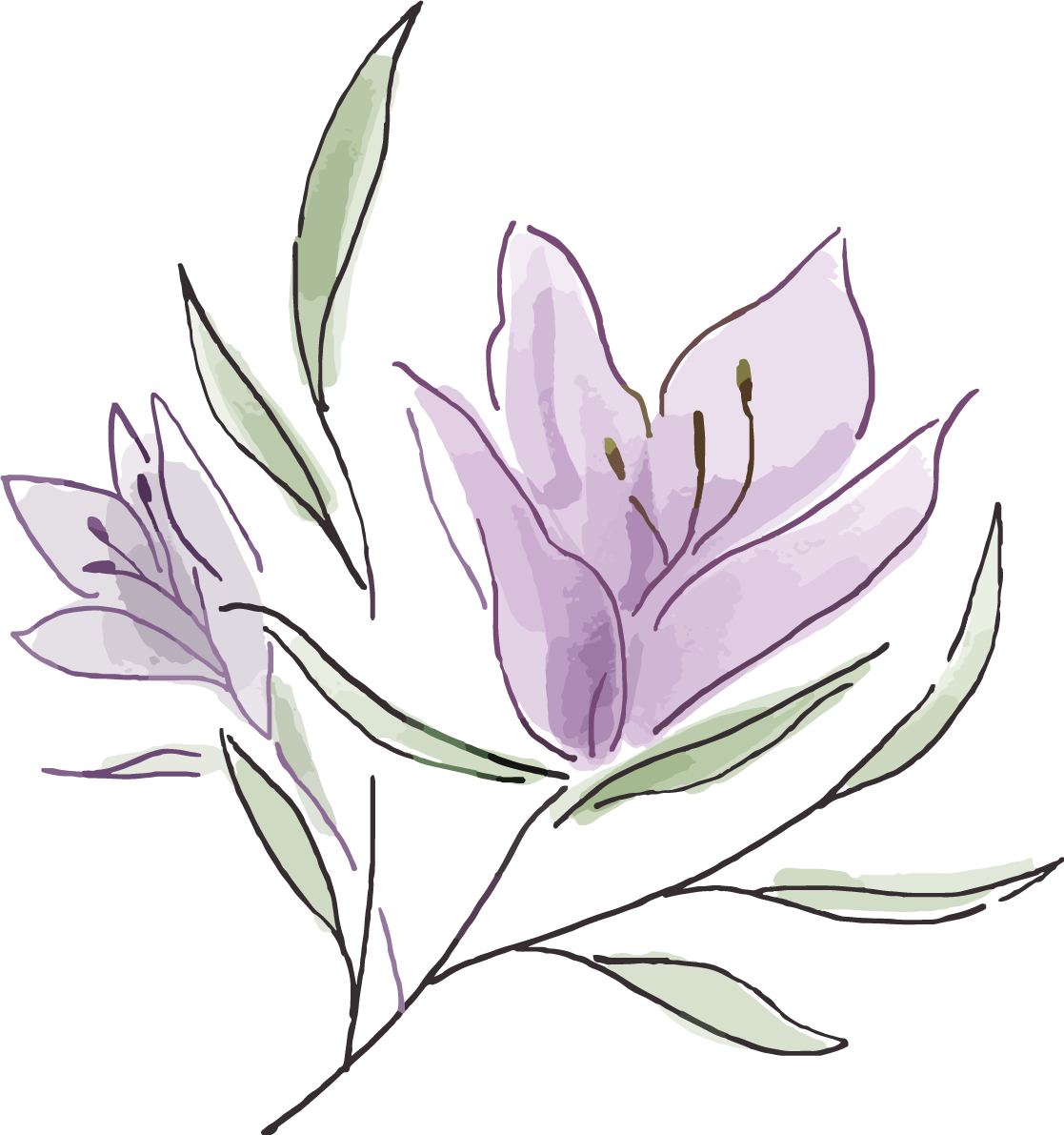 シンプル紫のおしゃれ花おしゃれボタニカル(植物)イラスト無料 フリー87798に写真・文字を入れる