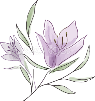 シンプル紫のおしゃれ花おしゃれボタニカル(植物)イラスト無料 フリー87798