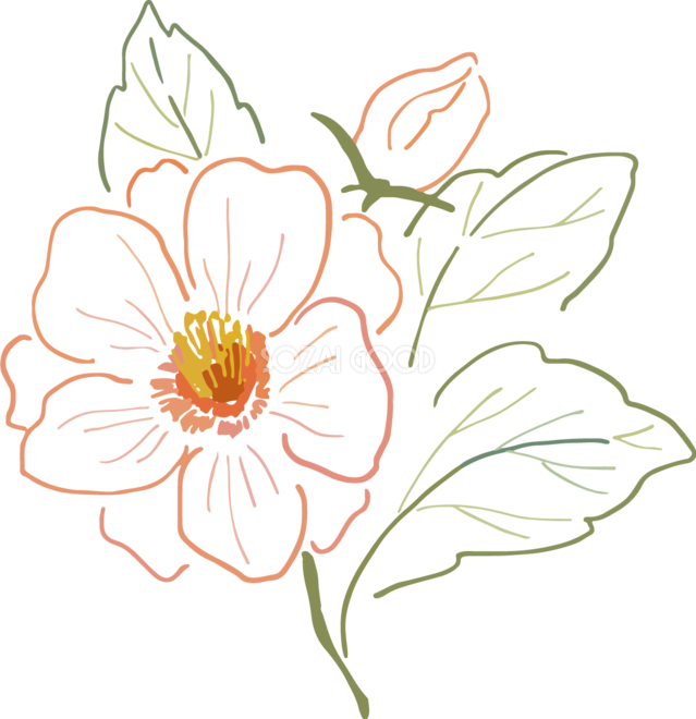 レトロな線画の一輪の花おしゃれ 植物 ボタニカルイラスト無料 フリー 素材good