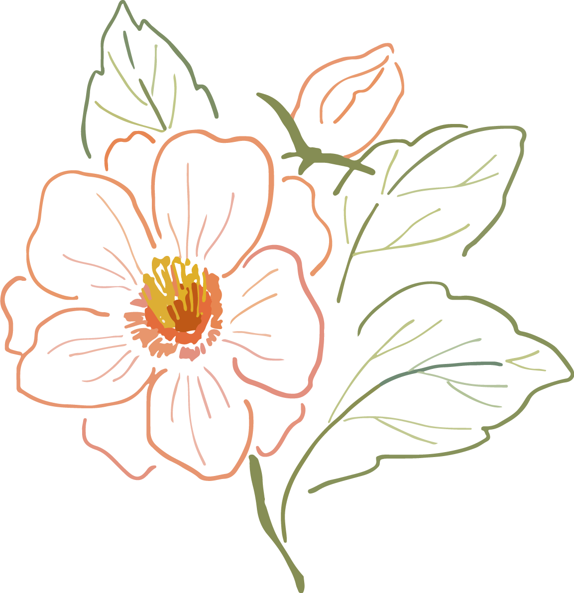 レトロな線画の一輪の花おしゃれ(植物)ボタニカルイラスト無料 フリー87810に写真・文字を入れる