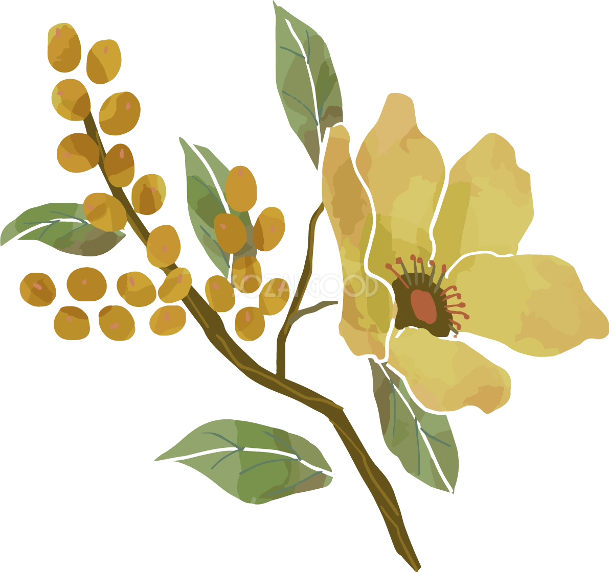 秋色おしゃれな花と実おしゃれボタニカル(植物)イラスト無料 フリー87817