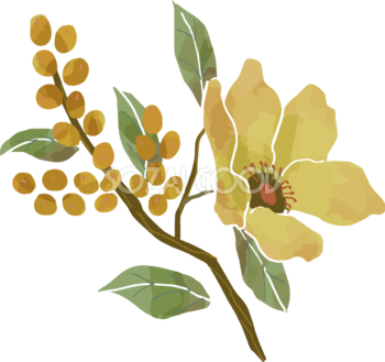 秋色おしゃれな花と実おしゃれボタニカル(植物)イラスト無料 フリー87817