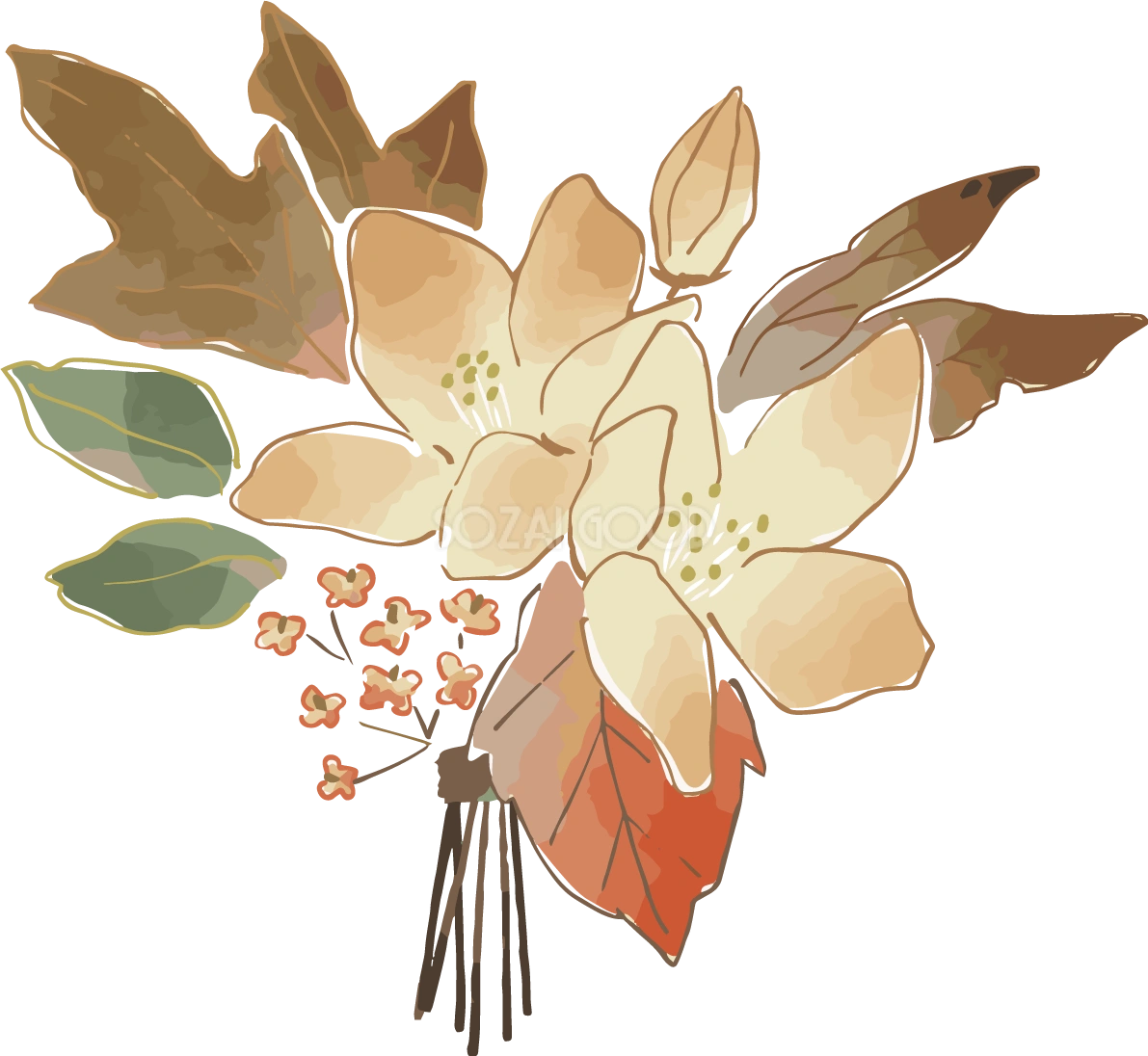 秋色かわいいブーケおしゃれボタニカル(植物)イラスト無料 フリー87818