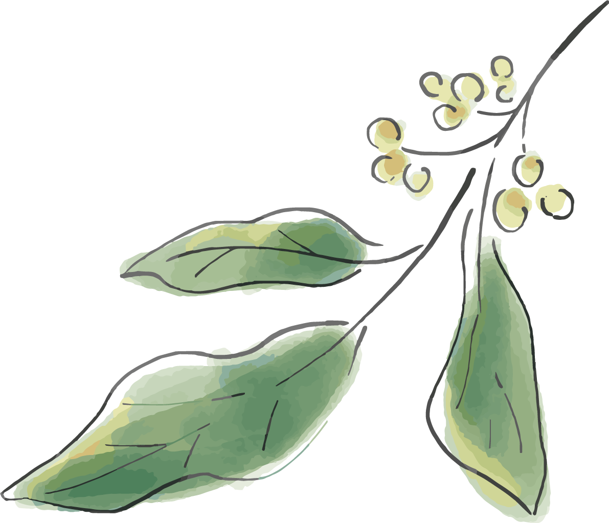 水彩タッチのシンプル葉っぱおしゃれボタニカル(植物)イラスト無料 フリー87821に写真・文字を入れる