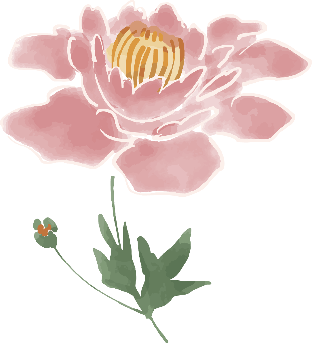 水彩タッチのふんわり華やか1輪花おしゃれボタニカルイラスト無料 フリー87822に写真・文字を入れる
