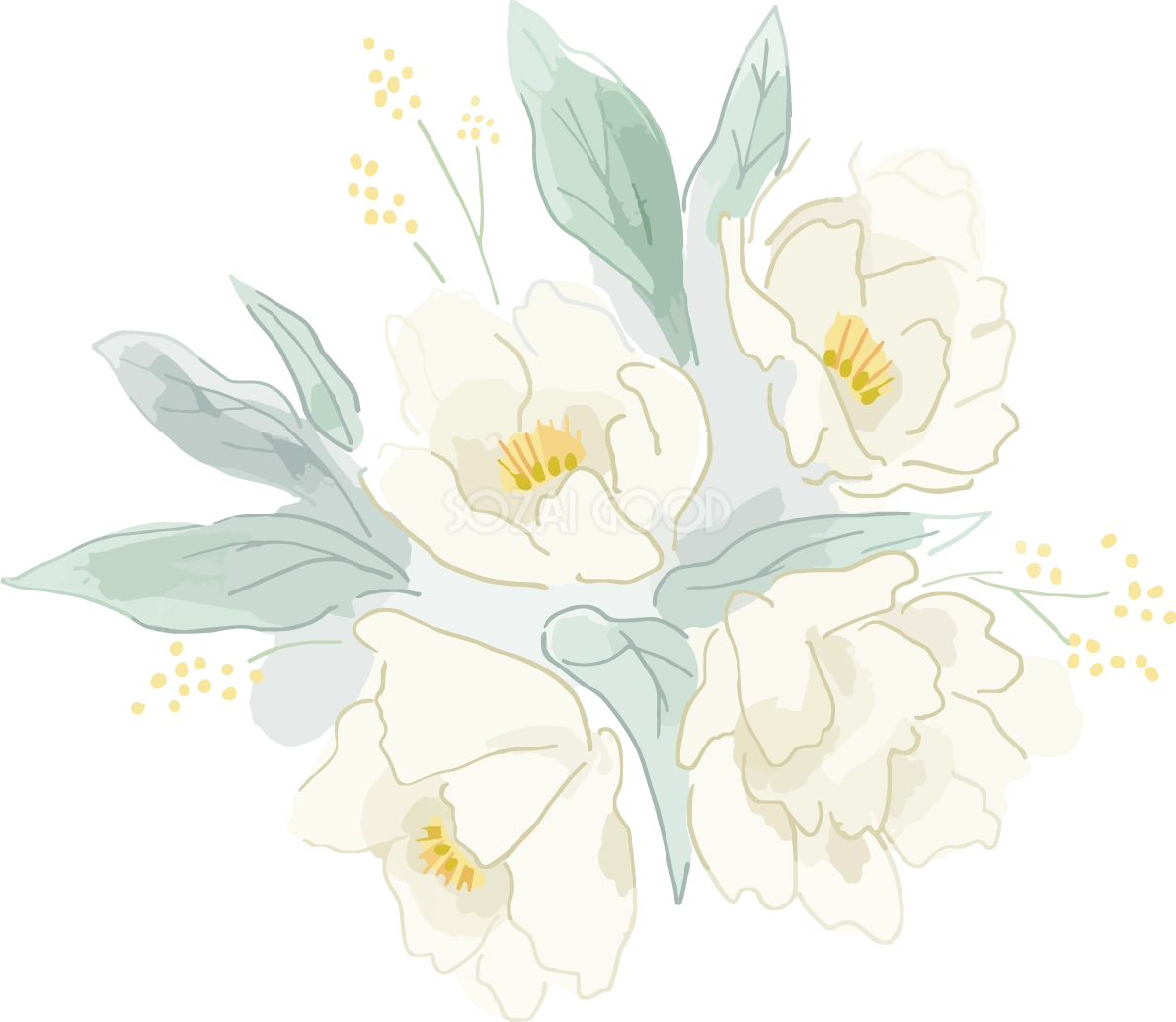 水彩風華やか白い花おしゃれボタニカルイラスト無料 フリー87823