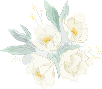 水彩風華やか白い花おしゃれボタニカルイラスト無料 フリー87823
