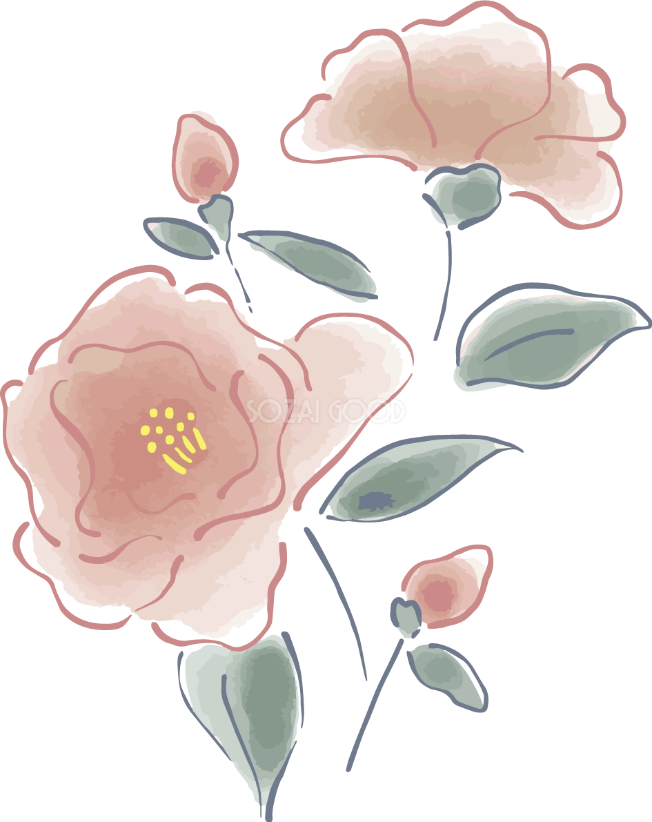 ふんわりピンクの花 おしゃれボタニカルイラスト無料 フリー87904