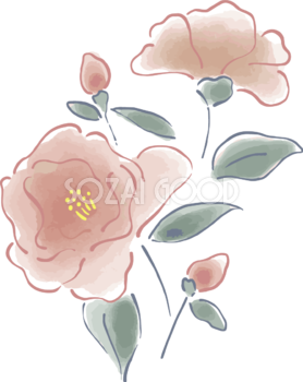 ふんわりピンクの花 おしゃれボタニカルイラスト無料 フリー87904