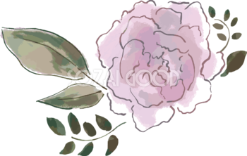 ペイントタッチのピンクの花 おしゃれボタニカルイラスト無料 フリー87905
