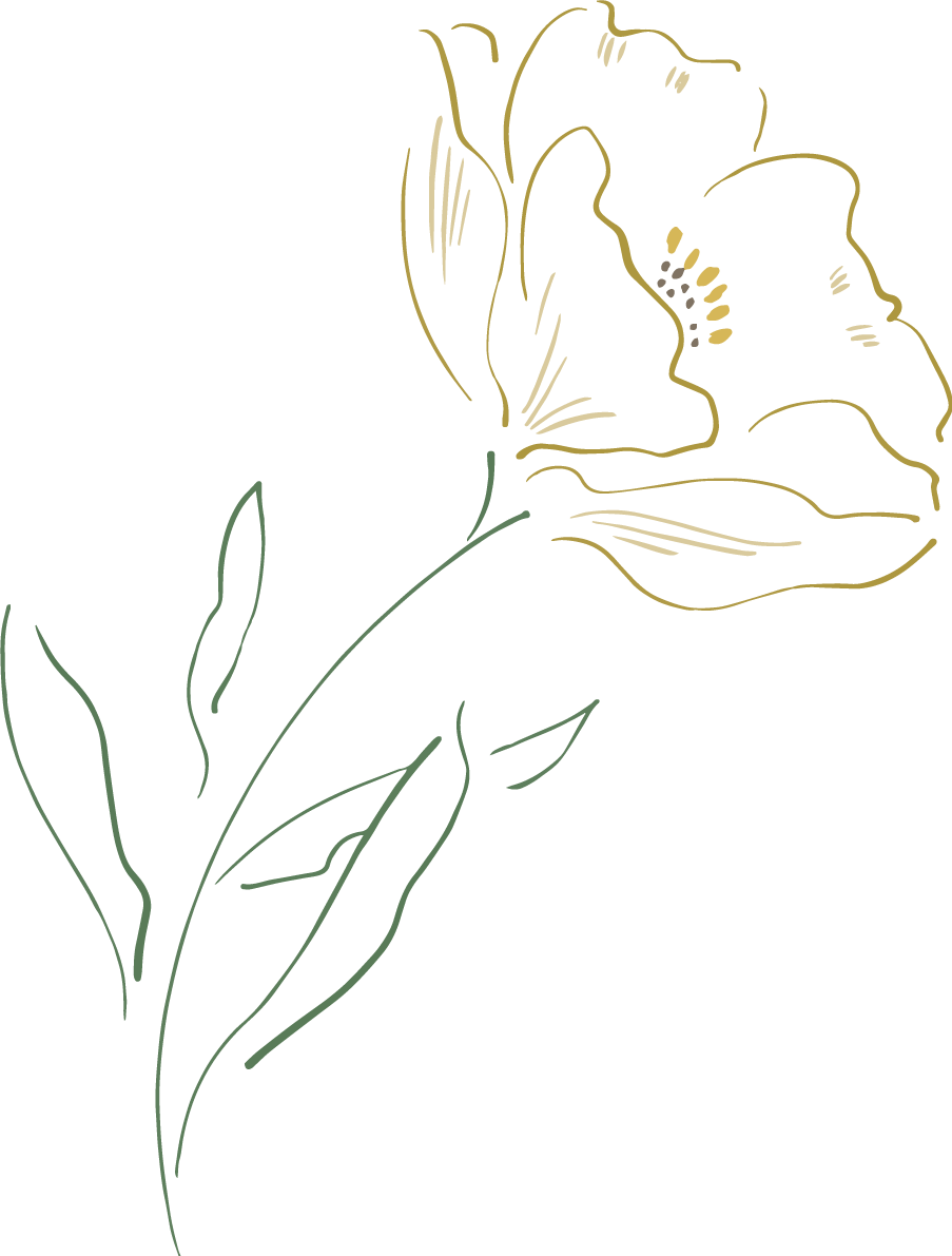 黄色い一輪の花シンプル線画 おしゃれボタニカルイラスト無料 フリー87912に写真・文字を入れる