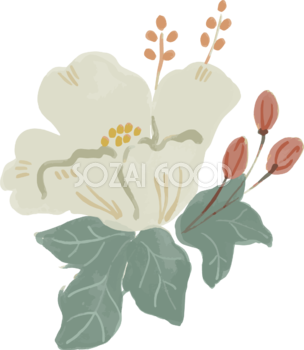 柔らかタッチの可愛い白い花 おしゃれボタニカルイラスト無料 フリー87919