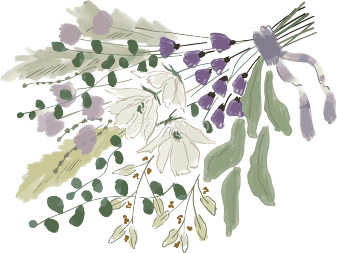 白い花とシックなカラーのブーケ おしゃれボタニカルイラスト無料 フリー87926 | 素材Good