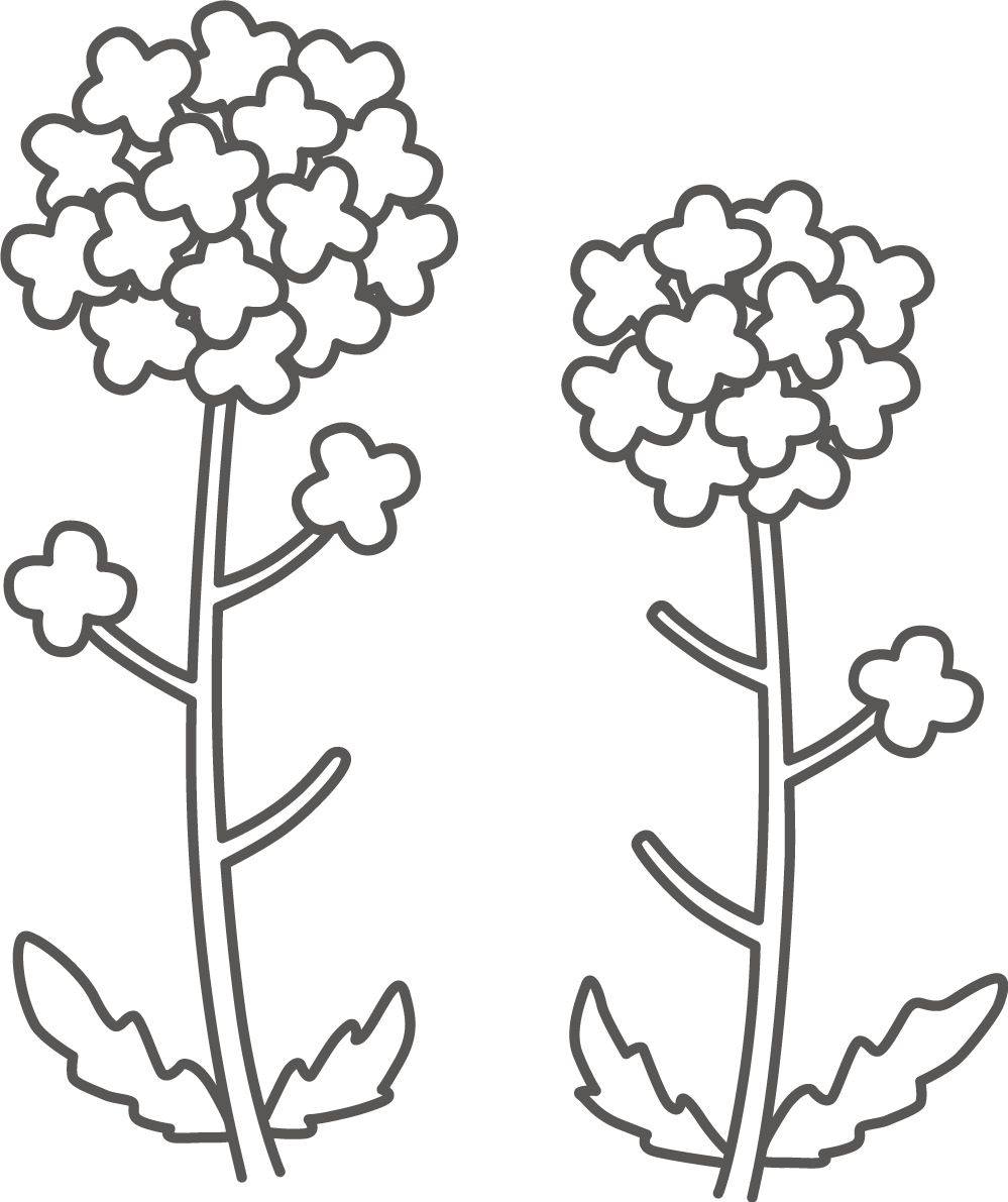 菜の花の塗り絵イラスト無料 フリー87943に写真・文字を入れる