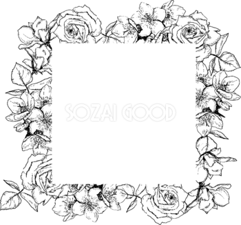 おしゃれなモノクロ(白黒)花フレーム枠 手書き 正方形 ボタニカル(植物)イラスト無料 フリー88084
