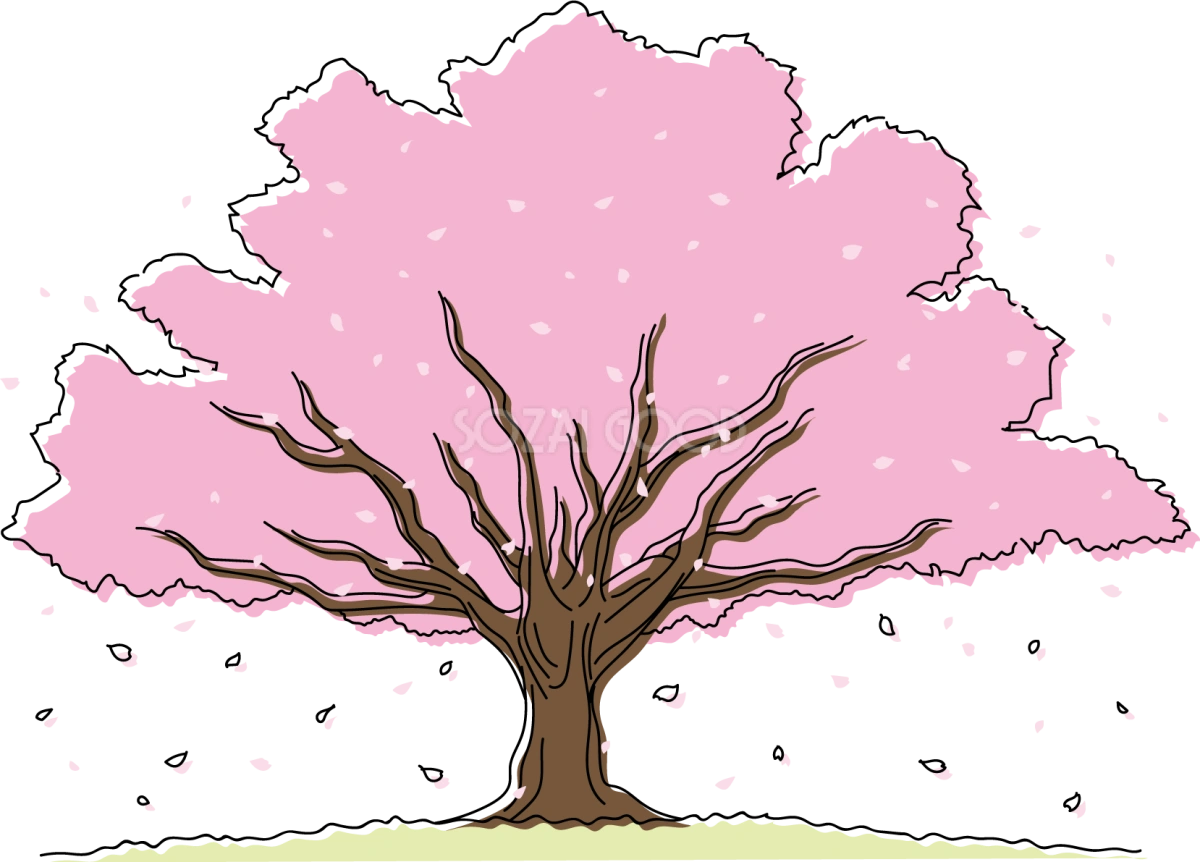 桜の大きな木と花びらイラスト無料 フリー88188