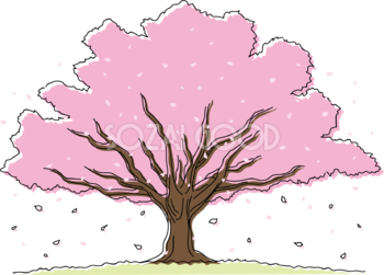 桜の大きな木と花びらイラスト無料 フリー88188