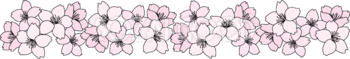 ライン 満開 桜の綺麗なイラスト無料 フリー88319