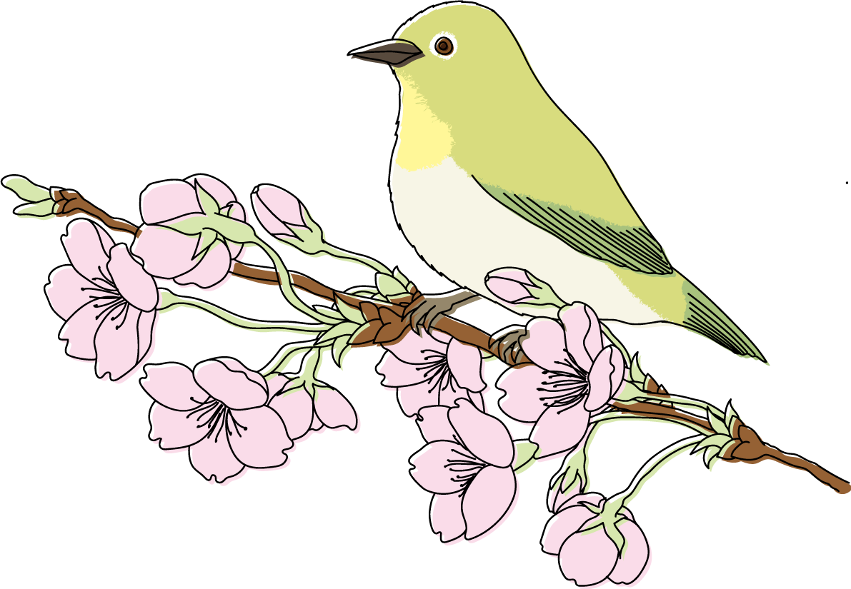 鳥(うぐいす)桜の枝イラスト無料 フリー88336に写真・文字を入れる