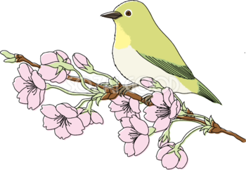 鳥(うぐいす)桜の枝イラスト無料 フリー88336