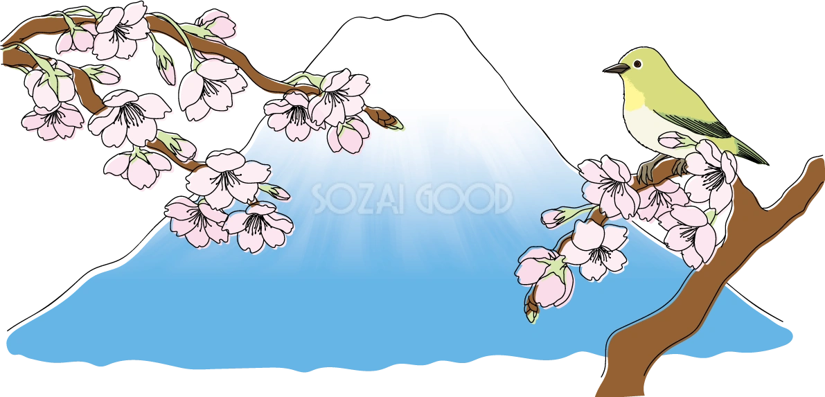 富士山と桜の枝にとまる鳥(うぐいす)イラスト無料 フリー88338