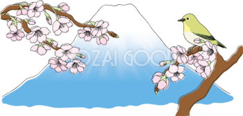 富士山と桜の枝にとまる鳥(うぐいす)イラスト無料 フリー88338