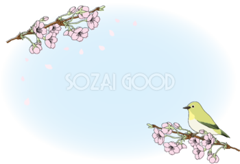 桜の枝 鳥(うぐいす)フレームイラスト無料 フリー88351