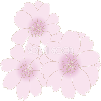 淡い色の八重桜イラスト無料 フリー88399