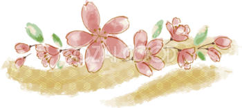 水彩タッチおしゃれ桜と葉イラスト無料 フリー88443