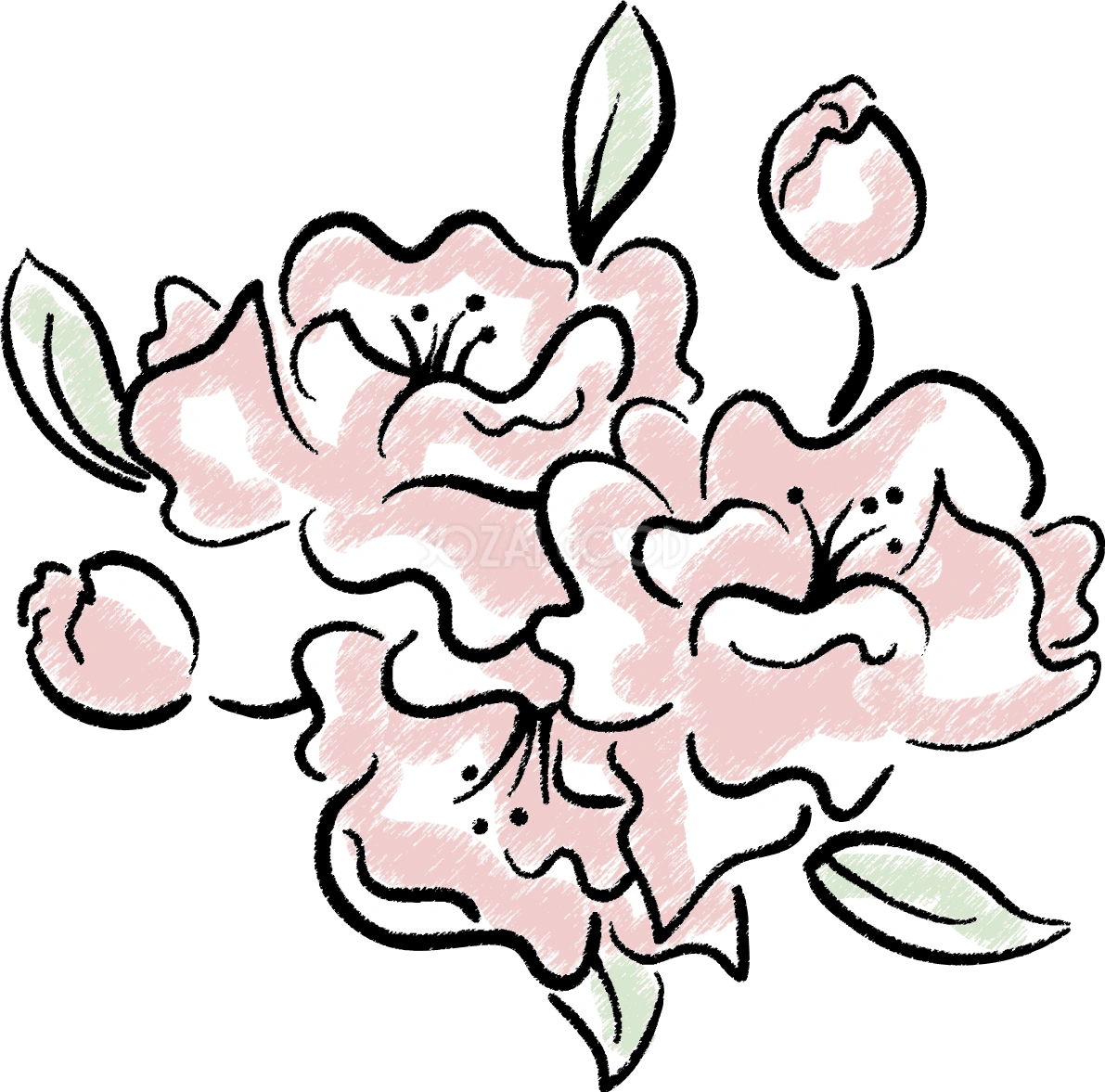 スケッチ風桜 イラスト無料 フリー88464