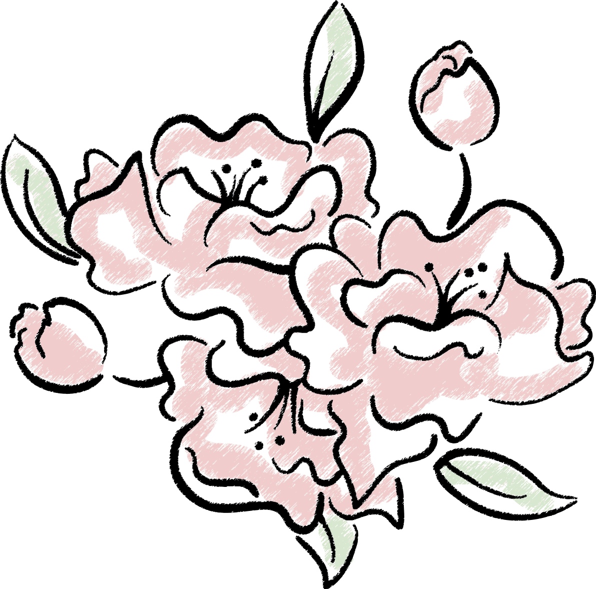 スケッチ風桜 イラスト無料 フリー88464に写真・文字を入れる